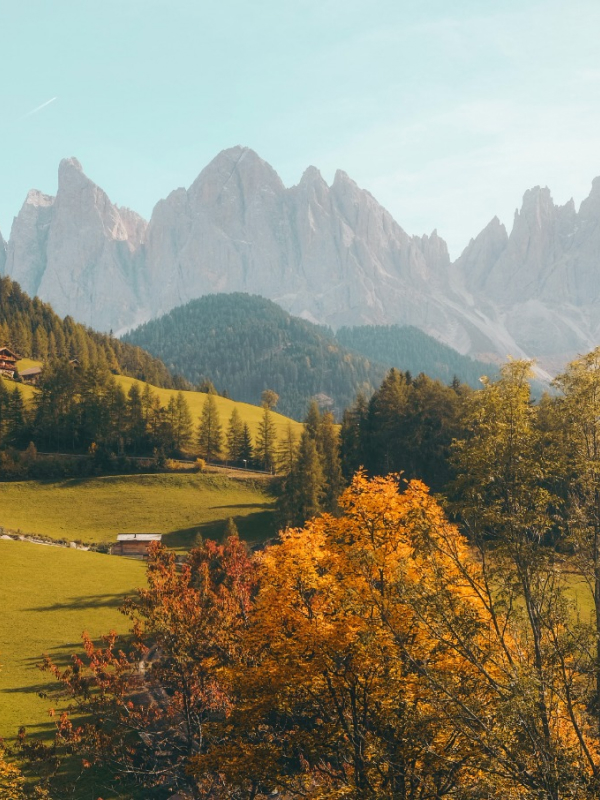 Travelling Natures 02